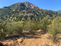 Image of chaparral and peak 