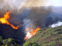 Image of chaparral on fire